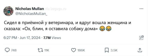 Твиты о будничной жизни владельцев кошек и собак, которые вызовут вашу улыбку (14 фото)