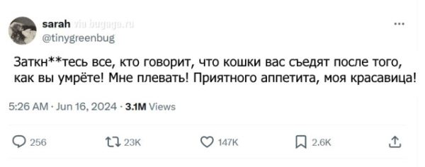 Твиты о будничной жизни владельцев кошек и собак, которые вызовут вашу улыбку (14 фото)