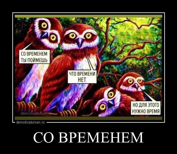 Демотиваторы дня: "А вы точно охотник на уток?" (12 фото)