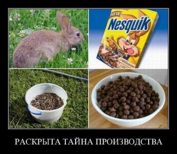 Демотиваторы – приколы: "Моя бабушка застала ещё то время, когда утюги были беспроводными" (17 фото)