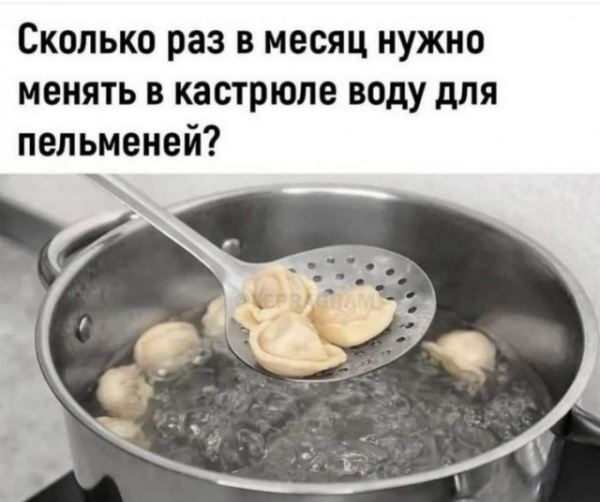 Весёлые картинки на любой вкус: «Сколько раз в месяц нужно менять в кастрюле воду для пельменей?» (33 фото)