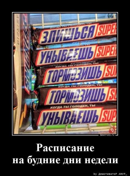 Прикольные демотиваторы: "Кот учёный в отпуске…" (15 фото)