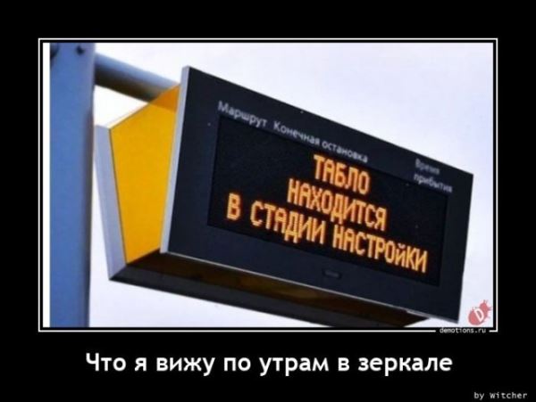 Демотиваторов сборник: "Если и наломала дров…" (17 фото)