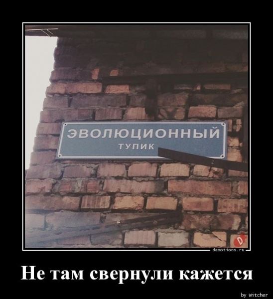 Демотиваторы дня: "А вы точно охотник на уток?" (12 фото)